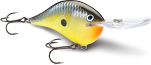 Poissons nageurs